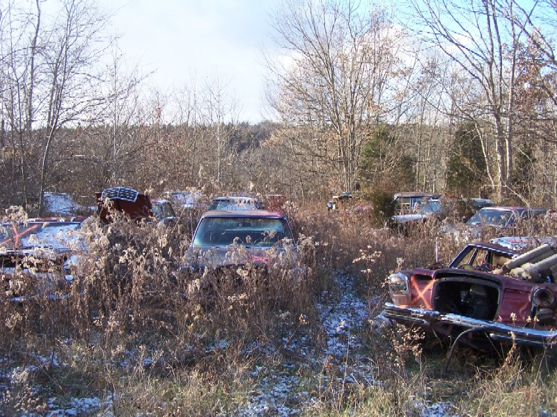 Illustration for article titled Over 1,000 Vintage Mercedes-Benzes Await The Cruel Jaws Of The Crusher In Kentucky